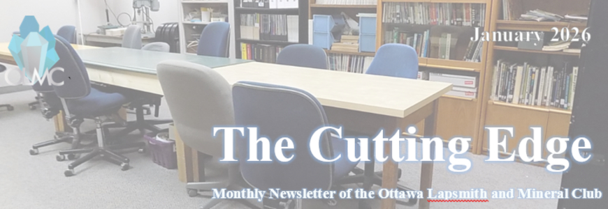 Newsletter Header
